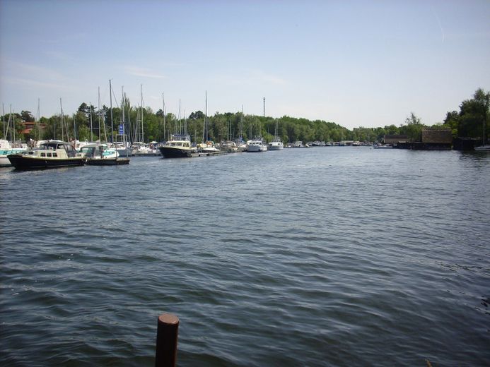 Grundstück an der Müritz – Foto 14