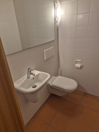 Frankfurt-South, in Dietzenbach-Steinberg, very nice house with large garden, garage, fitted kitchen and sauna. – 6_Gäste WC im EG