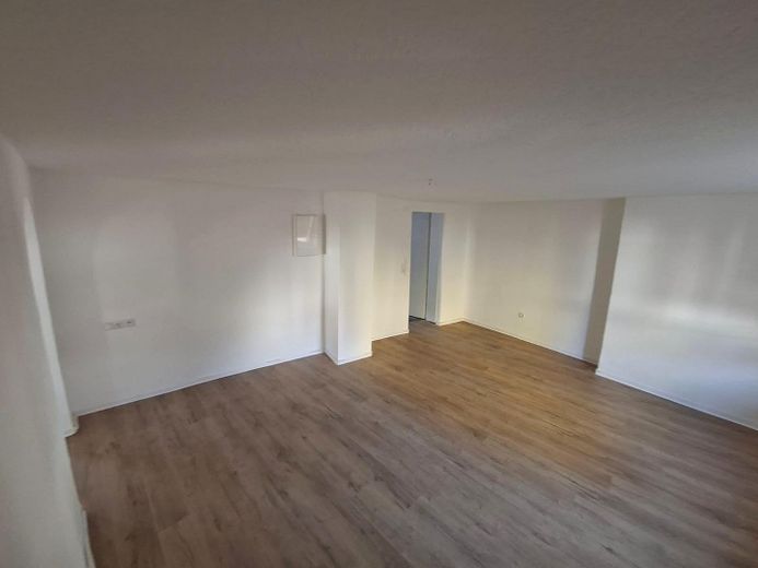 EERSTE BEWONING NA RENOVATIE AAN DE MAIN | Twee bijzondere woningen met aparte ingangen – EG Wohnen