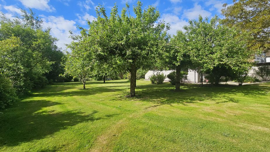 Obstgarten