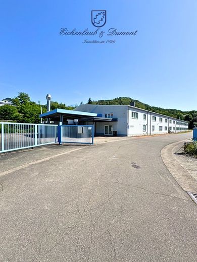 Industriehallen + Freiflächen mit Top-Anbindung für Logistik, etc. – Gebäude mit Einfahrt