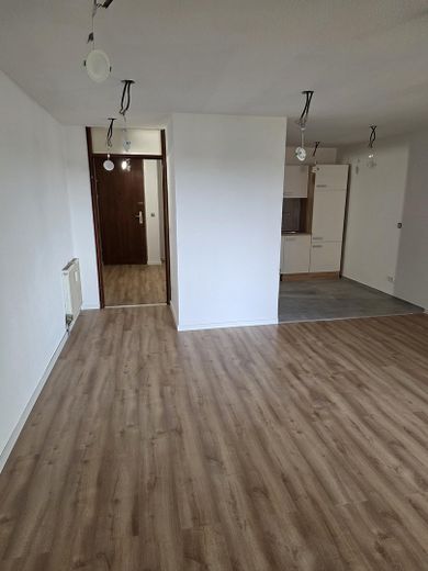 Frisch renovierte 1-Zimmer-Wohnung mit Wintergarten & Stellplatz in Ludwigsburg-Neckarweihingen – Foto 8