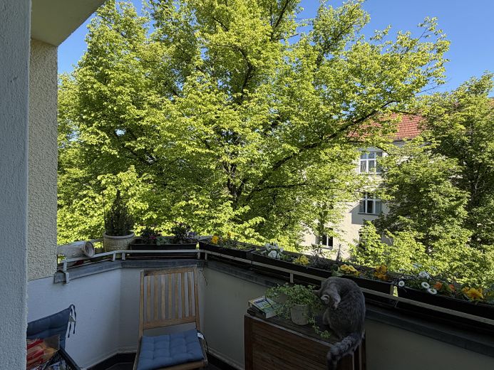 Balkon zur ruhigen Straßenseit