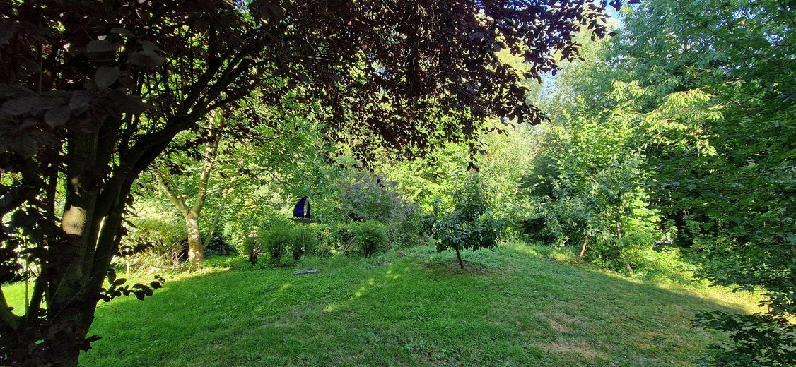 EFH / großer Hausteil mit EBK, Kamin, 2 Terrassen und traumhaftem Garten in direkter Seenähe 🌊 – Im Garten