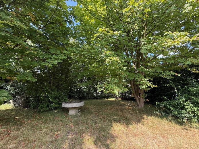 Viel Raum zum Leben: Riesige Landhausvilla in Neuhof/Fulda! – Gartenimpression 2