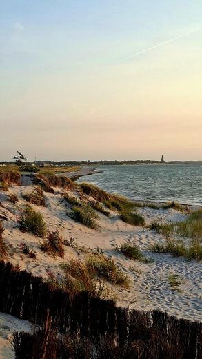 Wohnen, wo andere Urlaub machen. Strandnähe, Gartenecke. 2 Zimmer Wohnung für Singles oder Paare – फोटो 16