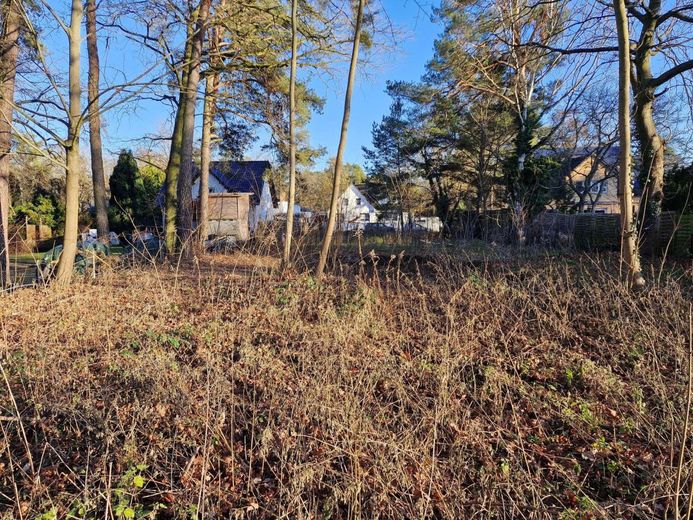 Grundstück mit Baugenehmigung für 2 EFH - sofort bebaubar – Grundstück mit Baumbestand im vorderen Teil