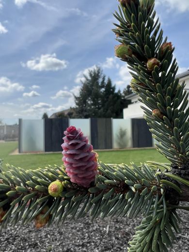 Luxus Stadtvilla mit angelegtem Traum Garten – Foto 9
