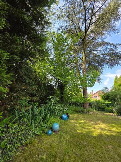 Freistehendes Dornröschen in toller Lage (von privat) – Garten (3)