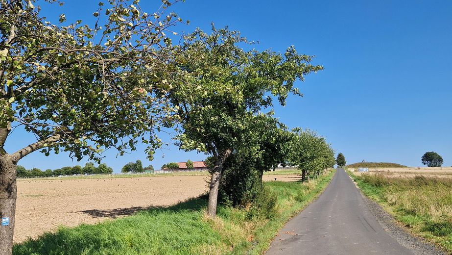 Feldweg in der Nähe