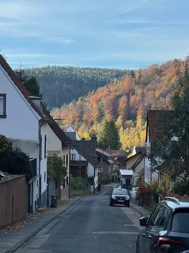 6 Talblick
