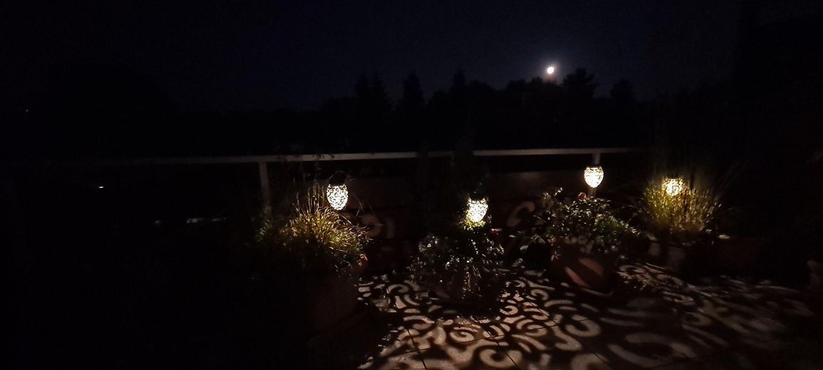 3 Zimmer plus separatem Büroraum - Naturschutzgebiet plus 1A Infrastruktur – Mondaufgang über Terrasse