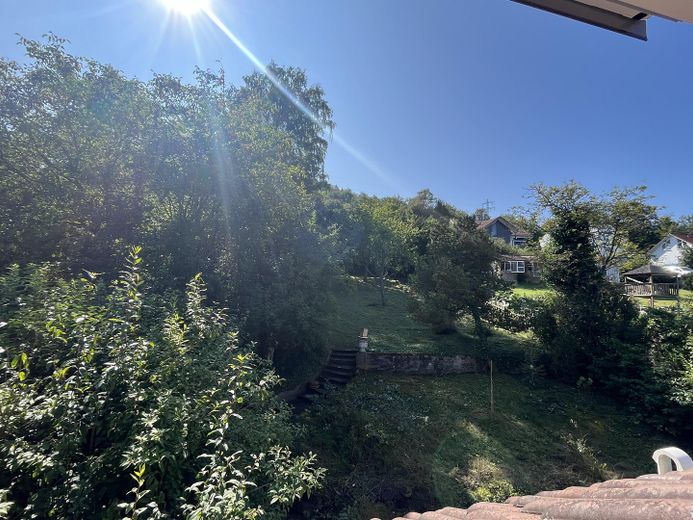 großer Garten mit alten Bäumen