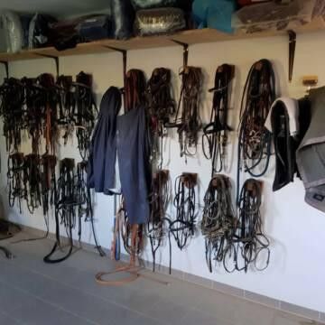 Centro ippico senza provvigioni sul lago con maneggio coperto, campo da equitazione e 15 box per cavalli – Sattelkammer.