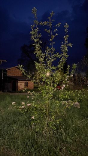 Biesenthal: 1.646 m² erschlossen, Altbau, PV-Anlage, 40 Min nach Berlin – Vorgarten nachts