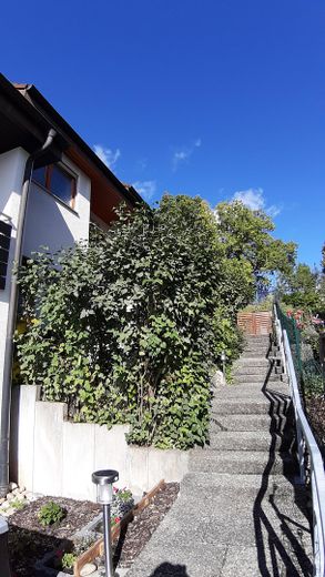 Treppenaufgang zum Haus