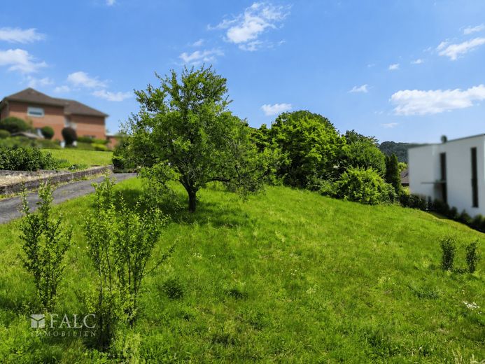 Ein Grundstück voller Chancen - Ihr Traumhaus wartet – Garten