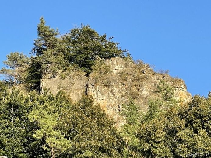Campingplatz in beliebter Urlaubsregion - umsatzstarke Vollexistenz in Bestzustand, Betreiberwohnung – फोटो 1