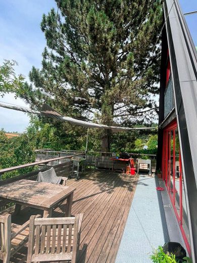 Haus bei Freising von privat – Terrasse mit großer Kiefer