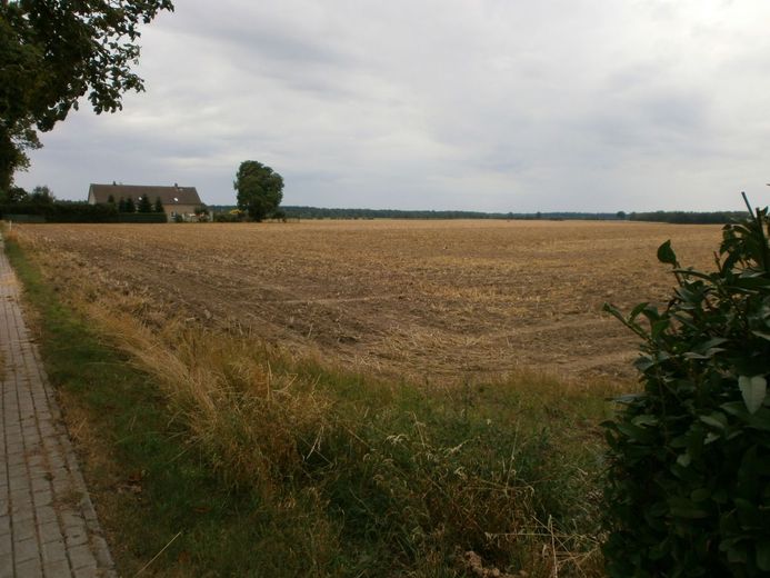 Wegen Auswanderung: 2.270m2 Bau-Grundstück bei Greifswald / Ostsee – Grundstücksansicht 2