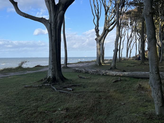 Eine Perle zwischen Kühlungsborn und Warnemünde – Foto 18