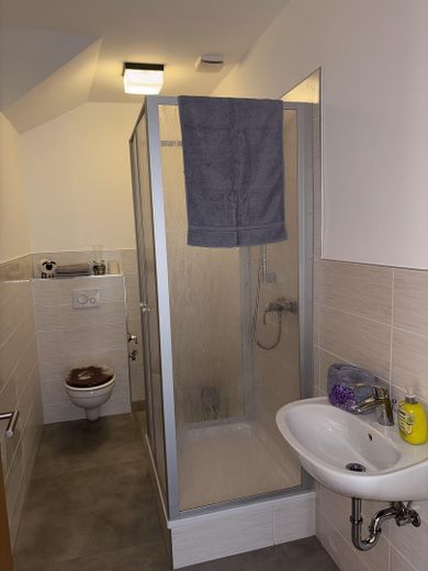 Wohn- und Geschäftshaus, top renovierte Wohnung sofort frei! Eigenutzung oder Kapitalanlage – Duschbad OG