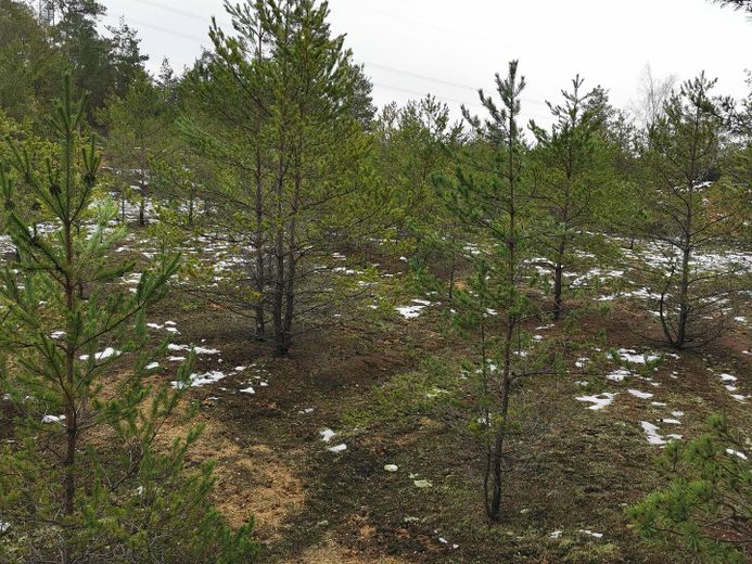Baugrundstück für Naturliebhaber –  Januar 2023
