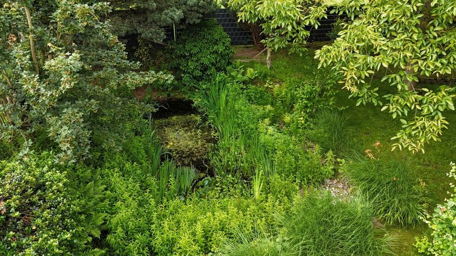 Ökologisches Architektenhaus mit Charakter - Wohnen im Einklang mit der Natur – Teich