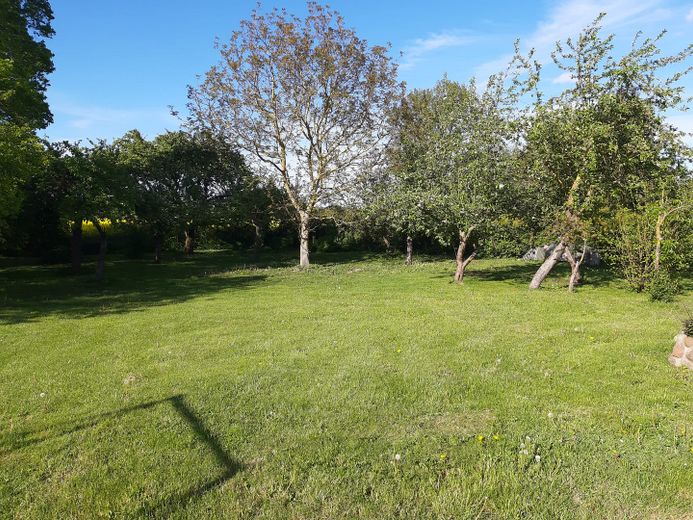 Idyllisches Zweifamilienhaus vor den Toren Stralsunds mit traumhaft großem Garten – Garten
