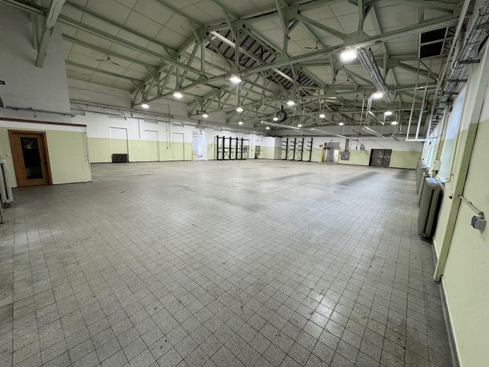 Großzügige Gewerbehalle für Lager, Produktion, Gewerbe – Produktion 1 (Große Halle)