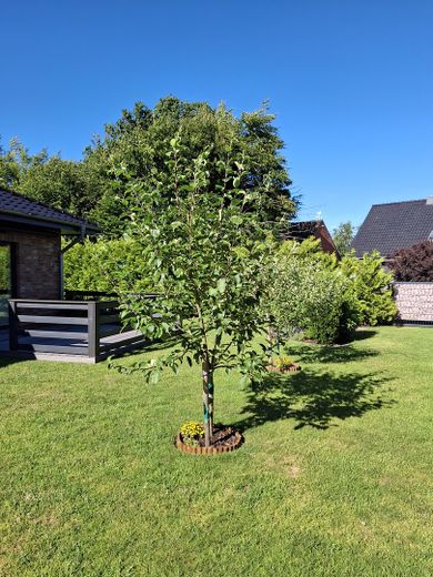 Neuwertiger, barrierefreier Bungalow – Foto 18