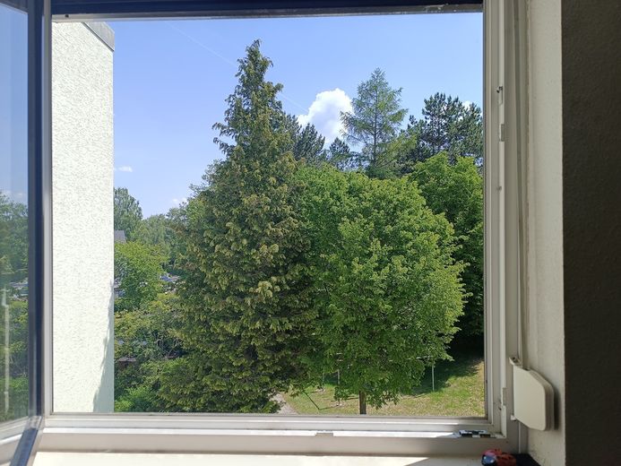 Lichtdurchflutete 4-Zimmer-Wohnung mit Loggia und Blick ins Grüne – Foto 13