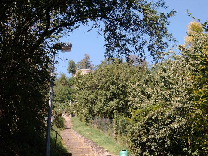 Spazierweg Weinberg