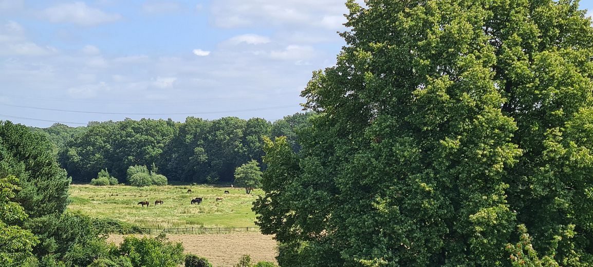 3 Zimmer plus separatem Büroraum - Naturschutzgebiet plus 1A Infrastruktur – Ausblick von der Terrasse 