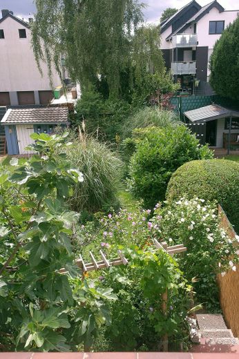 30_Blick vom Balkon Südseite