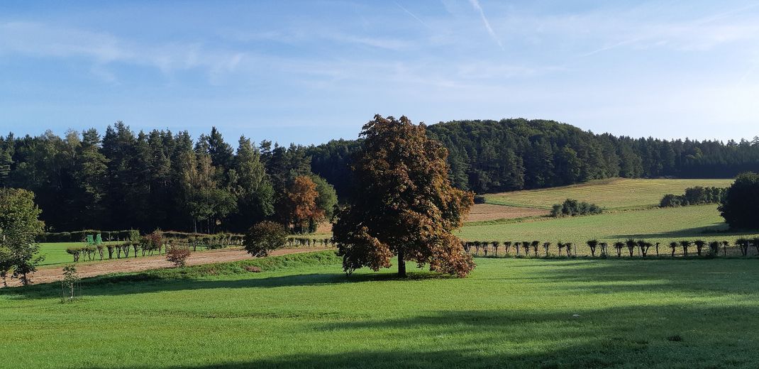 Posizione top nella Svizzera francone – Top Lage Fränkische Schweiz