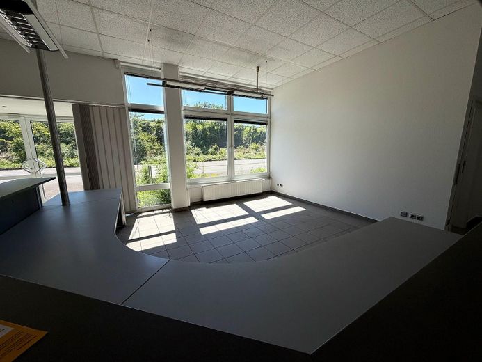 Gewerbehalle mit Bürofläche in Minden –sofort verfügbar/optimale Erreichbarkeit (Kreuz B428/B65) – Foto 2