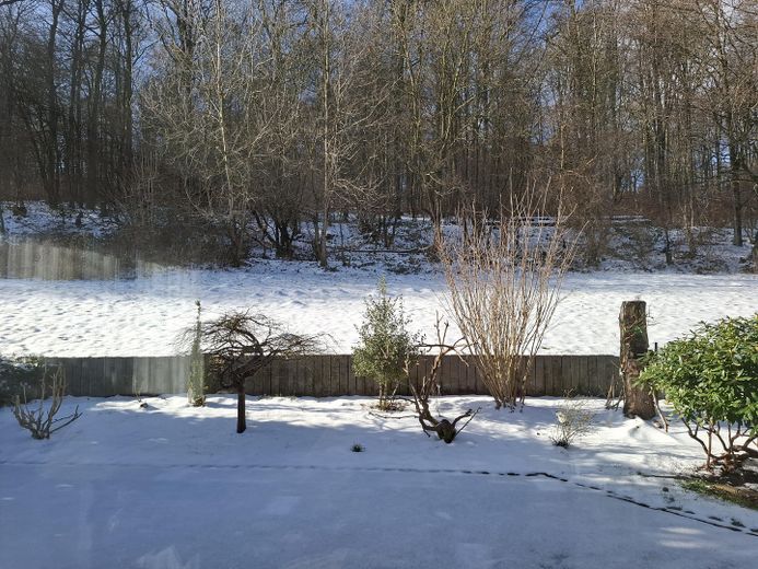 Garten im Winter