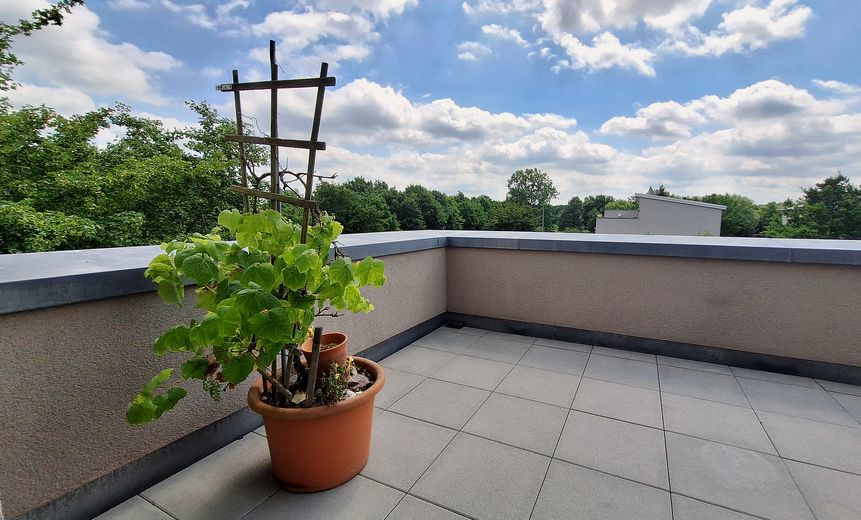 Oberneuland: Like-new end-of-terrace house with green views, roof terrace – commission-free – Dachterrasse mit Ausblick