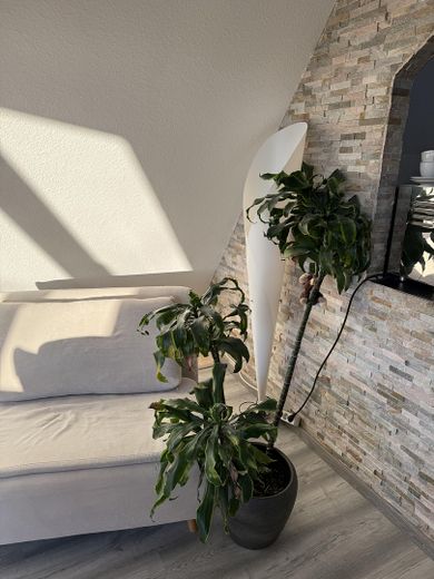 Senza provvigione: maisonette ristrutturata di 5 locali (125m²) – Wohnzimmer