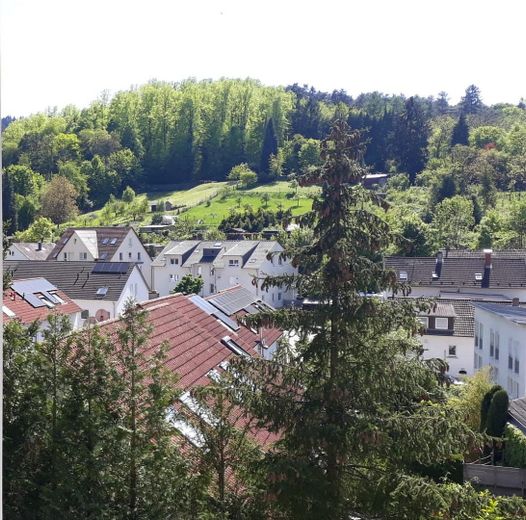 Blick auf den Exotenwald