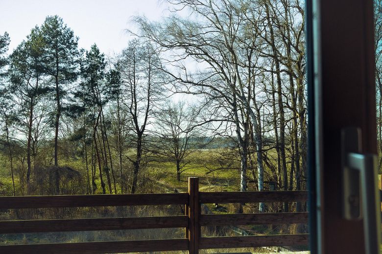 Landhaus unter Reet am See, Gästewohnung, Stallungen, Weiden und Wald. – Ausblick Ferienwohnung