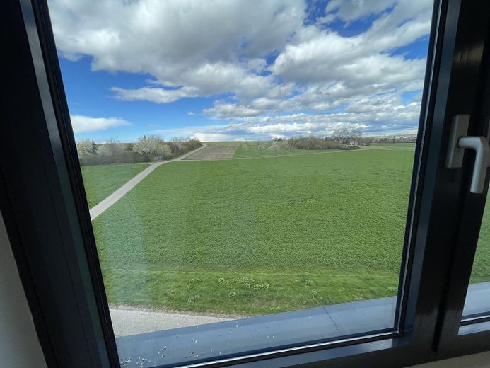 Aussicht hinten auf die Felder