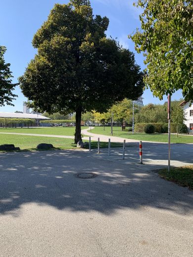 Helle Büro/ Praxisräume in Burghausen - ca. 100 (optional 200 m²) mit vielseitiger Aufteilung – Blick in den angrenzenden Park