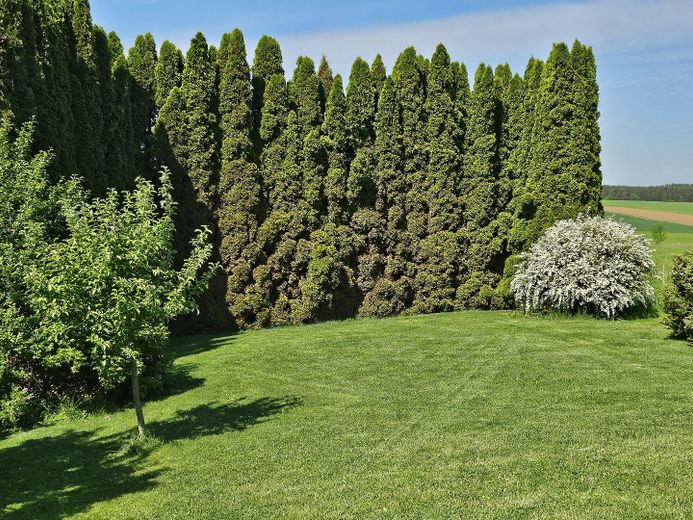 Hinterer Garten 