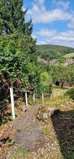 Schönes Freistehendes Haus in Bad Sachsa-Steina – Treppe zum Garten_Bild 1