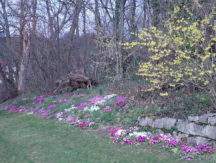 zusätzliches Baugrundstück