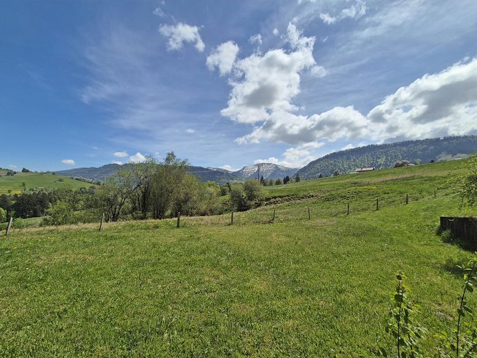 Blick von der Terrasse