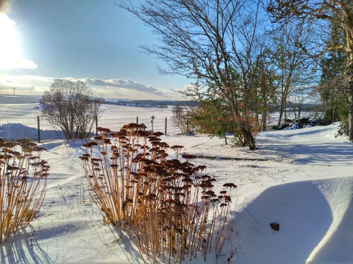 Idyllisch Wohnen mit freiem Blick ins Grüne – Faszination Winter