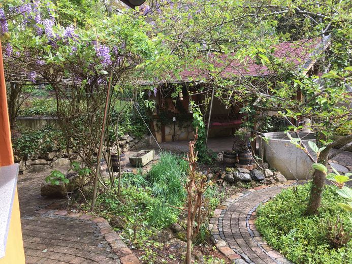 Am Waldrand gelegenes Einfamilienhaus mit ELW und parkähnlichem Garten – Kräutergarten